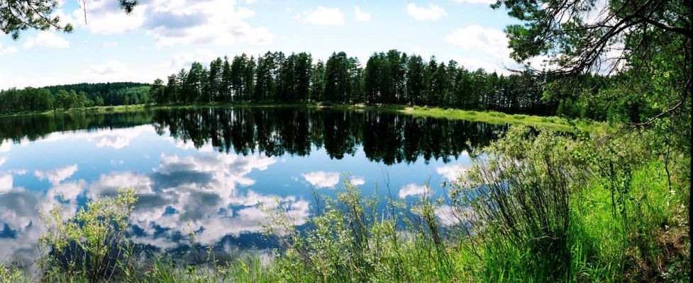 Панорама Городно
Василий Катрушенко 
