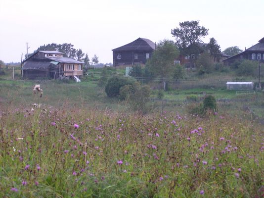 Вид на Долбеево
Автор: APLart
Источник: http://www.panoramio.com/photo/16385889
