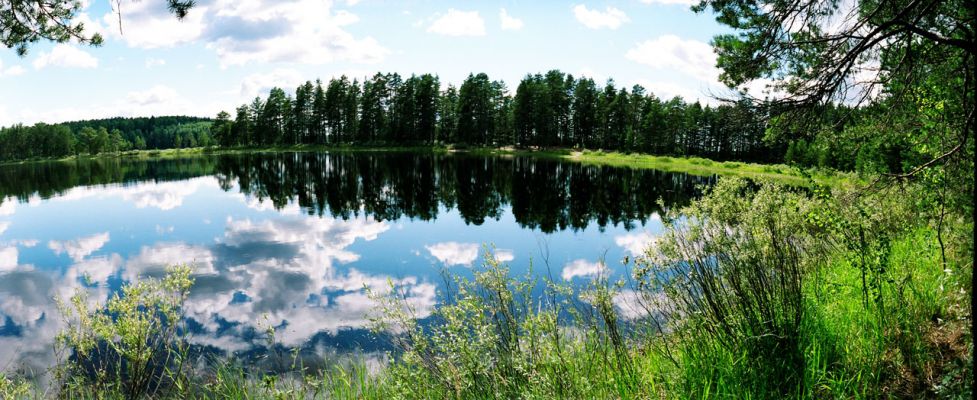 оз Городно
Василий Катрушенко
