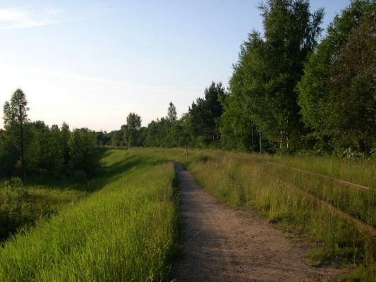 Железная дорога
Захарова Даша
