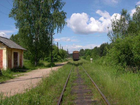 Вокзал. Товарный поезд
Захарова Даша
