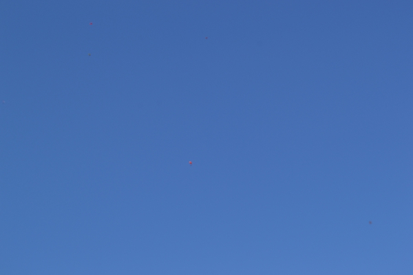 DSC_0035.JPG