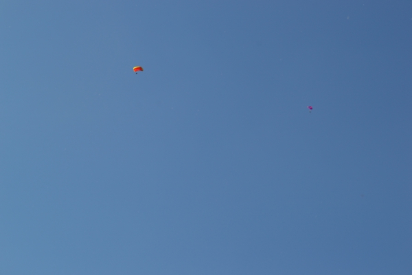 DSC_0051~1.JPG