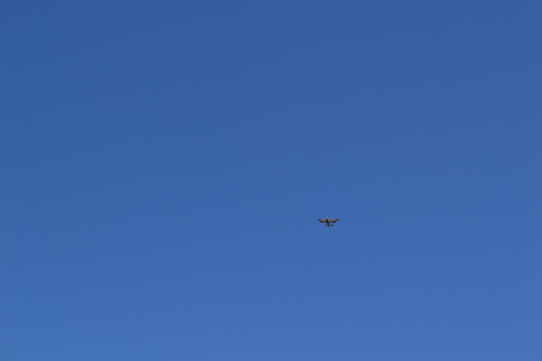 DSC_0099~2.JPG