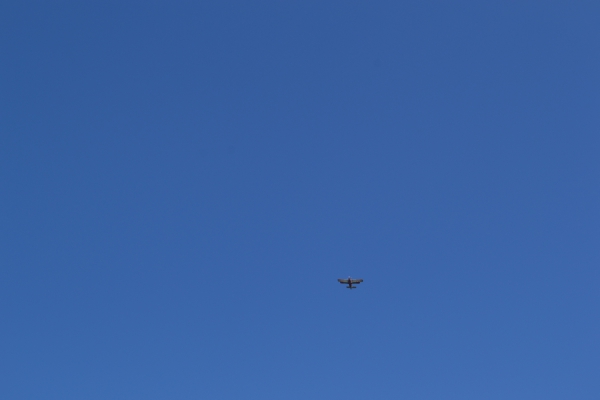 DSC_0100~2.JPG