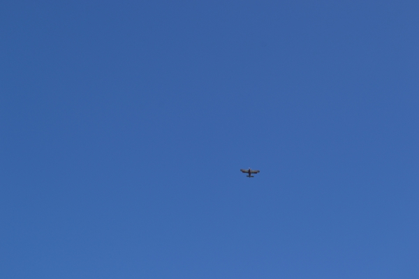 DSC_0101~2.JPG