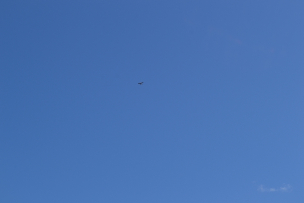 DSC_0104~2.JPG