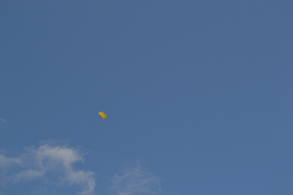 DSC_0110~2.JPG