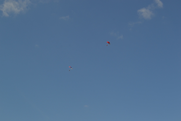 DSC_0140~1.JPG