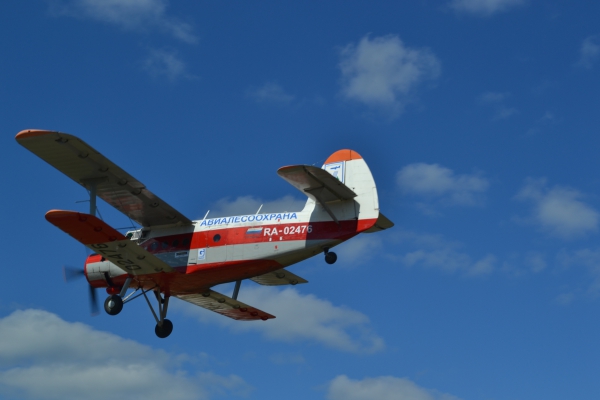 DSC_0155.JPG