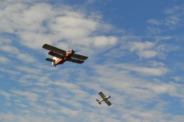 DSC_0198.JPG