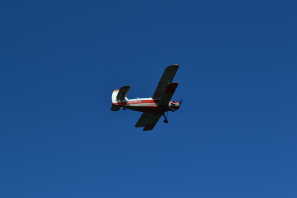 DSC_0199.JPG