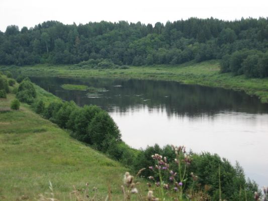 Мста Светицы
Иван Наумов
