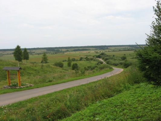 Дорога со Светиц.
А до дороги на Любытино - не близко. Еще почти 3 км шагать...
