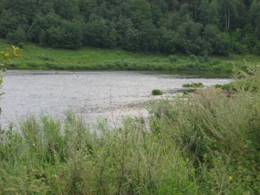 Мста близ д.Светицы
Иван Наумов
