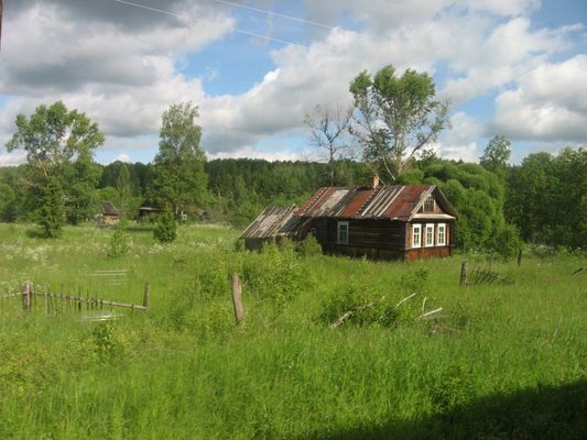 Из окна поезда.
Автор - Иван Наумов.
