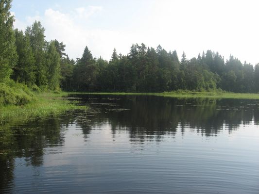 Озеро Городно.
Автор: Иван Наумов.
