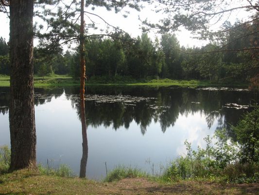 Озеро Городно.
Автор: Иван Наумов.
