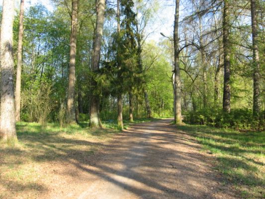 В парке
Автор: Тамара Наумова
