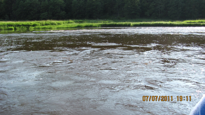 IMG_3461.jpg
