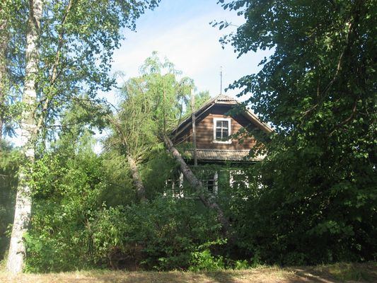 Две лиственницы свалились на дом.
К счастью - не на мой.
