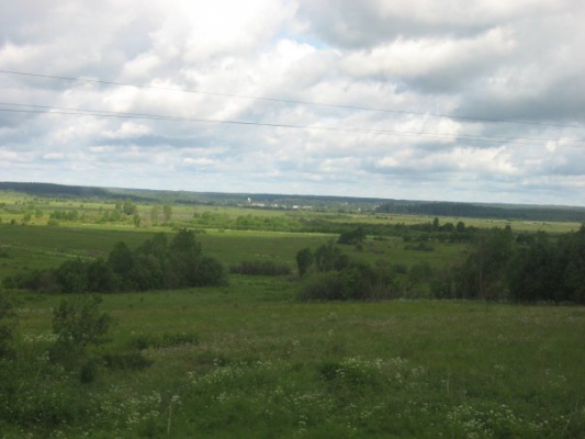 Любытинский район
