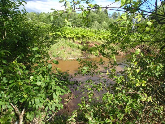 P7060100.JPG