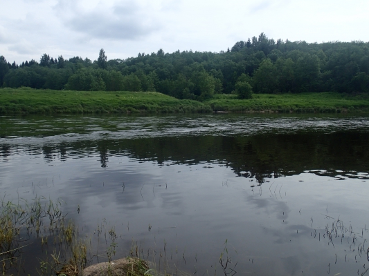 P7140040.JPG