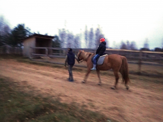 PB040665.JPG