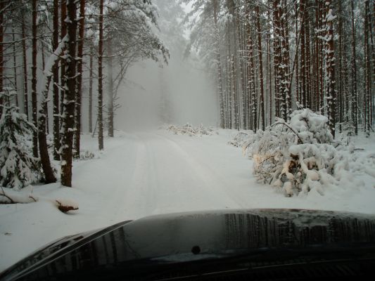 Дорога на Святой ручей
Автор: Павел Бобцов
