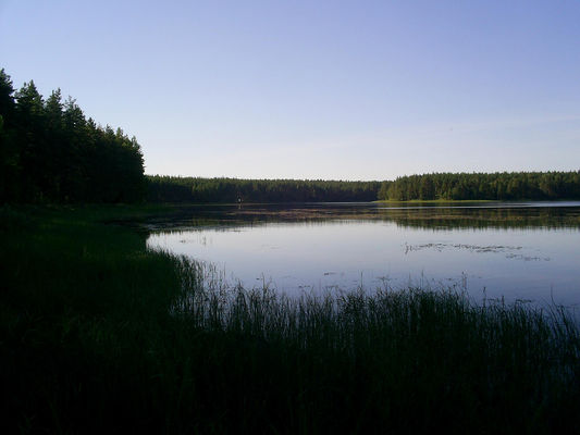 Городно
Александр Нечаев
