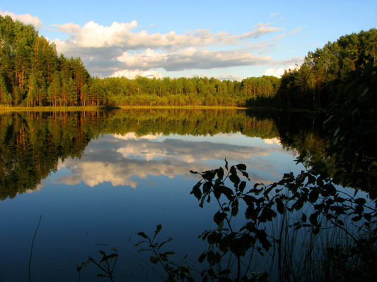 Хролёвские озера
Автор: i.krol
Взято отсюда: http://www.panoramio.com/photo/7522005
