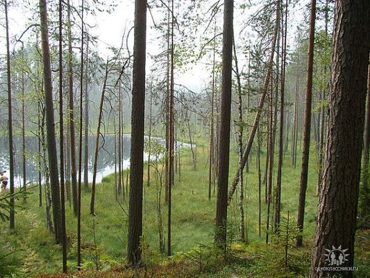 Изумрудное (радоновое) озеро
Автор: Дарья Парфенова
