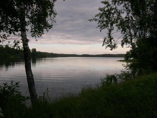 Каменка 
Захаpова Даша 

