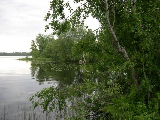 Озеpо Каменка 
Захаpова Даша 


