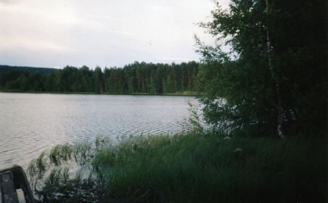 Княжеское озеро
Светлана Михайловна
