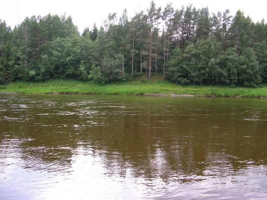 Мста 
Катя 

