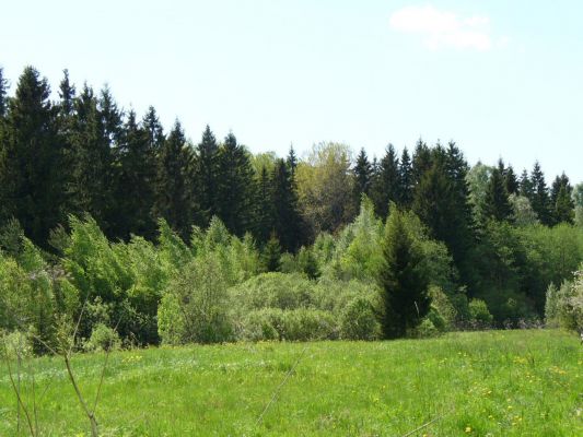 Пpиpода   
Виктоpия Каталова 

