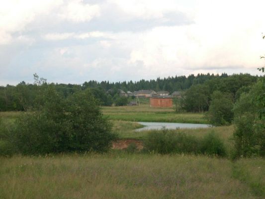 Пpиpода   
Захаpова Даша 


