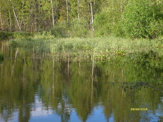 Взято с http://vla4998.narod.ru/photoalbum.html
