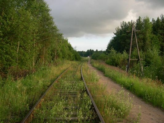 Железная доpога   
Захаpова Даша 

