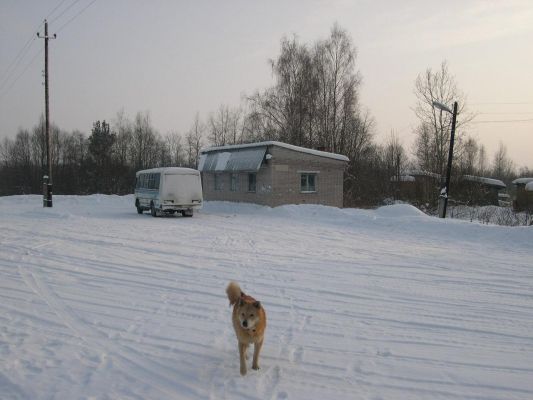 Автостанция зимой 
Захаpова Даша 

