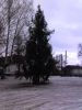 Имя файла=03-01-07_1538.jpg
Размер файла=131КБ
Размеры=960x1280
Дата=%624 %04, %2007 03-01-07_1538.jpg