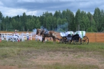 Имя файла=DSC_0001~0.JPG
Размер файла=6296КБ
Размеры=4608x3072
Дата=%446 %13, %2017 DSC_0001~0.JPG