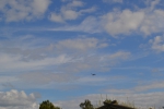Имя файла=DSC_0006~1.JPG
Размер файла=3362КБ
Размеры=4608x3072
Дата=%679 %11, %2017 DSC_0006~1.JPG