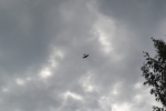Имя файла=DSC_0023~1.JPG
Размер файла=3066КБ
Размеры=4608x3072
Дата=%448 %13, %2017 DSC_0023~1.JPG