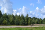 Имя файла=DSC_0032~0.JPG
Размер файла=3467КБ
Размеры=3072x2048
Дата=%324 %12, %2014 DSC_0032~0.JPG