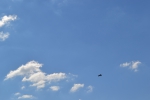 Имя файла=DSC_0032~1.JPG
Размер файла=2204КБ
Размеры=3069x2046
Дата=%697 %23, %2015 DSC_0032~1.JPG