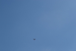 Имя файла=DSC_0033~0.JPG
Размер файла=2148КБ
Размеры=3069x2046
Дата=%699 %23, %2015 DSC_0033~0.JPG
