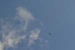 Имя файла=DSC_0034.JPG
Размер файла=2090КБ
Размеры=3072x2048
Дата=%324 %12, %2014 DSC_0034.JPG